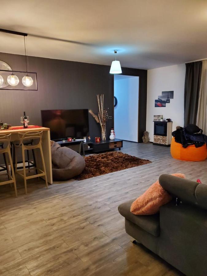 Anastasia Mountain Apartment - Poiana 布拉索夫 外观 照片